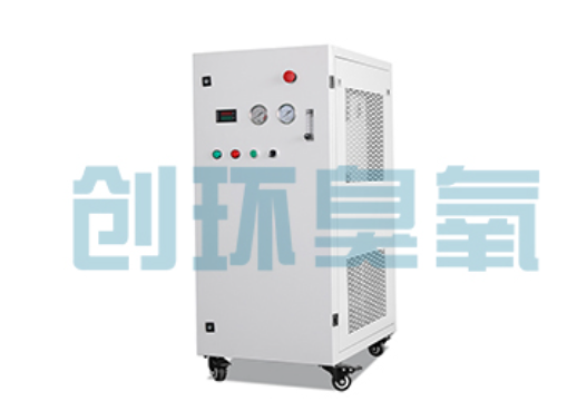 肇庆石斑鱼养殖水质调控完整指南:臭氧发生器配置与操作步骤