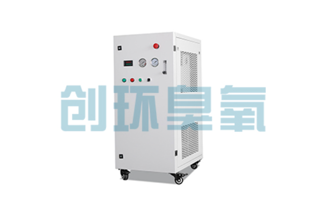 肇庆比传统换水更高效?臭氧发生器在石斑鱼养殖中的水质净化原理解析