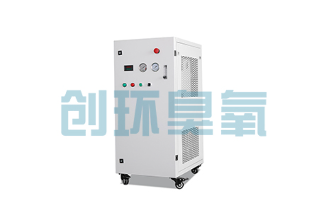 肇庆比传统换水更高效?臭氧发生器在石斑鱼养殖中的水质净化原理解析